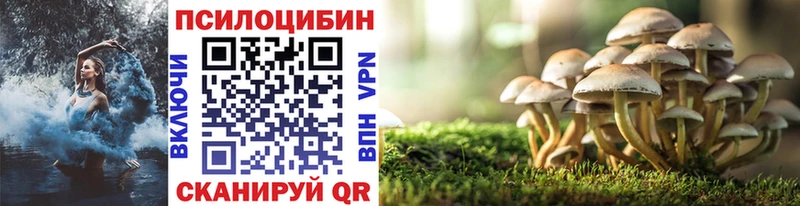 Псилоцибиновые грибы Psilocybe  Эртиль 